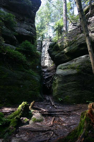 img00260.jpg