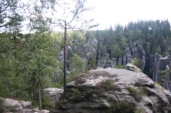 img00262.jpg