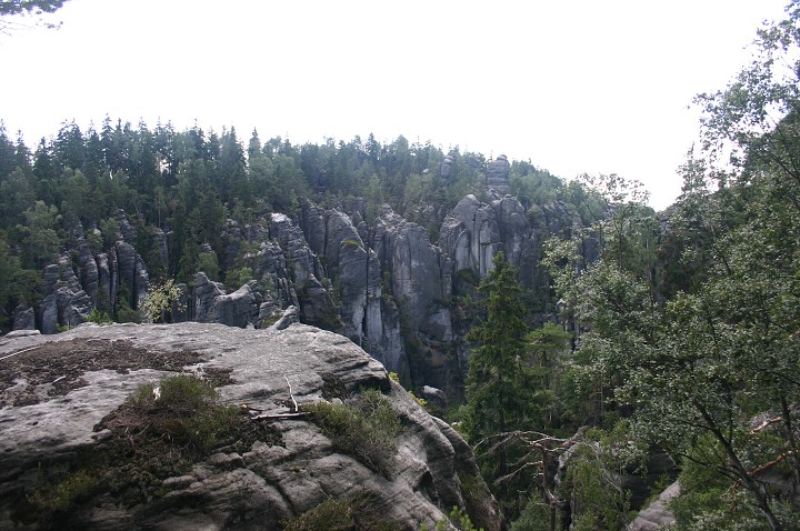 img00263.jpg