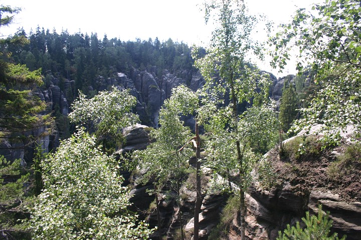 img00264.jpg