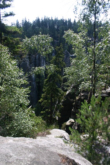 img00265.jpg