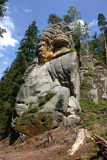 img00268.jpg