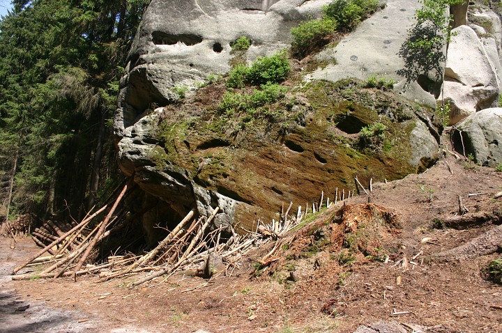 img00269.jpg
