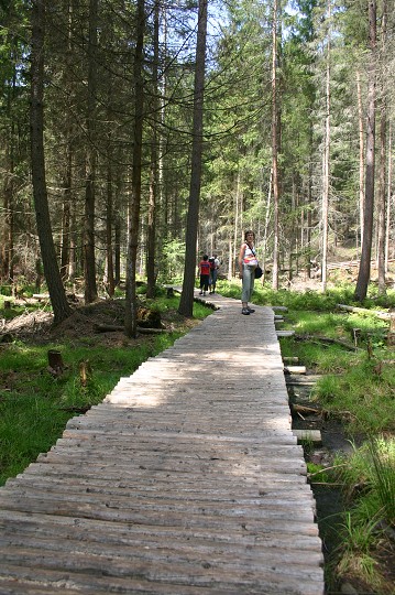 img00270.jpg