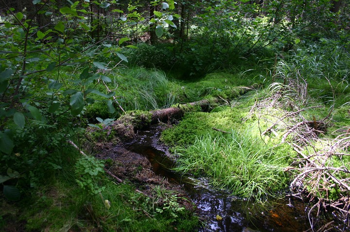 img00271.jpg