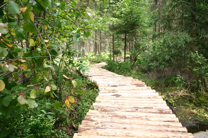 img00272.jpg