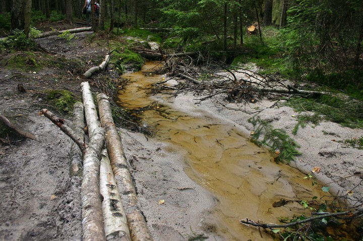 img00273.jpg