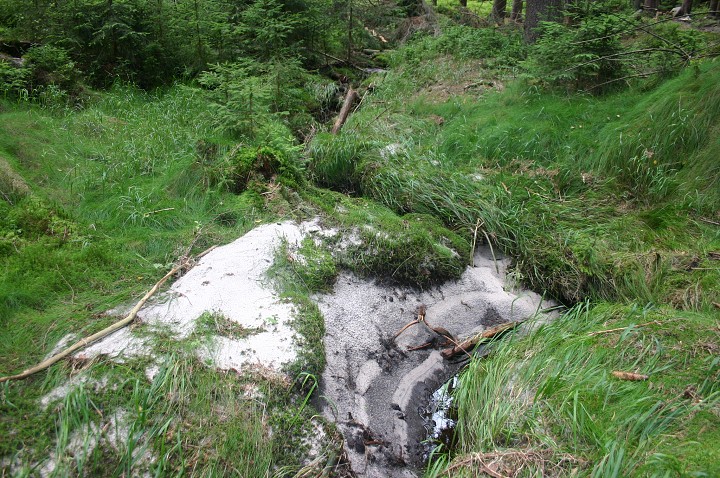 img00275.jpg