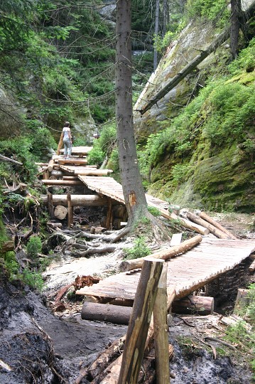 img00276.jpg