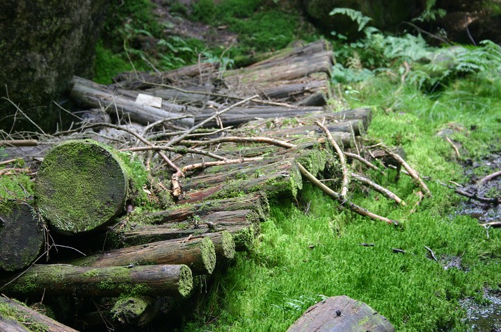 img00281.jpg