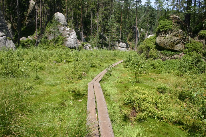img00282.jpg