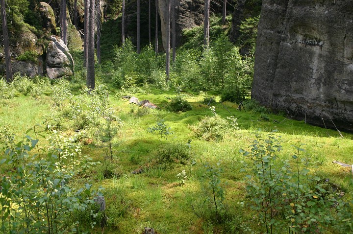 img00283.jpg