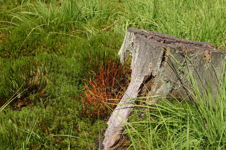 img00285.jpg