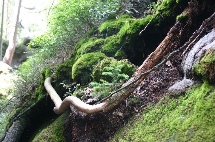 img00289.jpg