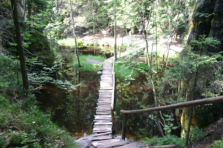 img00290.jpg