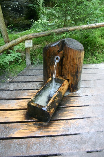 img00293.jpg