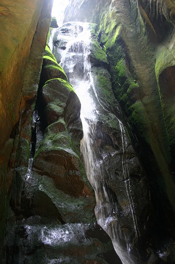 img00295.jpg