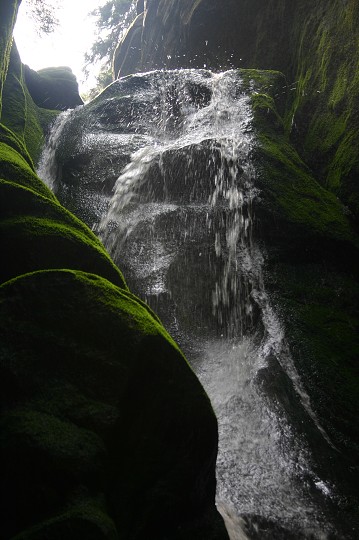 img00299.jpg