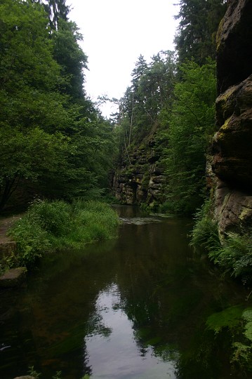 img00139.jpg