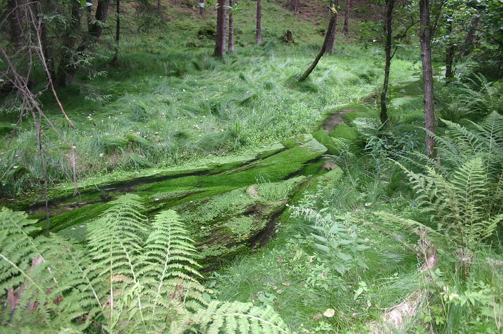 img00154.jpg