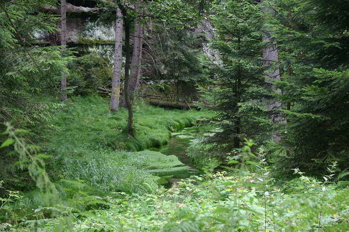 img00155.jpg