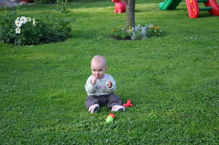 img00158.jpg
