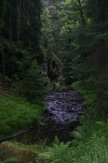 img00178.jpg