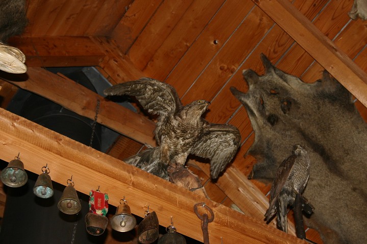 img00189.jpg