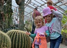 Skleník s kaktusy